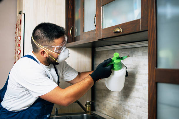 Best Wasp Removal Services  in Kewaskum, WI
