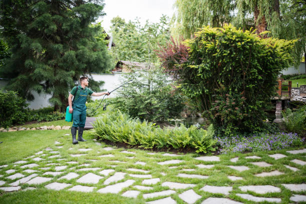 Best Wasp Removal Services  in Kewaskum, WI