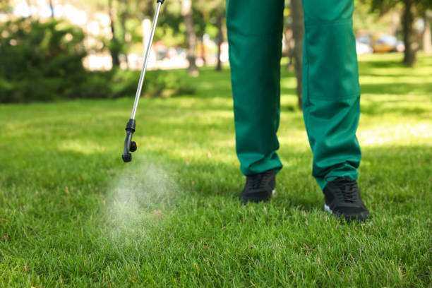 Reliable Kewaskum, WI Pest Control Solutions
