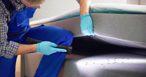 Best Residential Pest Control  in Kewaskum, WI