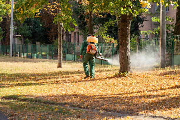 Best Pest Prevention Services  in Kewaskum, WI