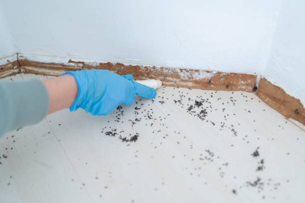 Best Best Pest Control Companies  in Kewaskum, WI
